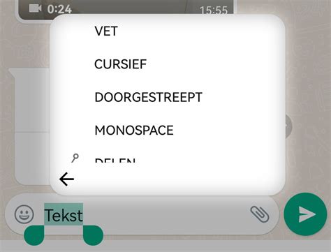 doorgestreept whatsapp|Tekst cursief of vet maken in WhatsApp